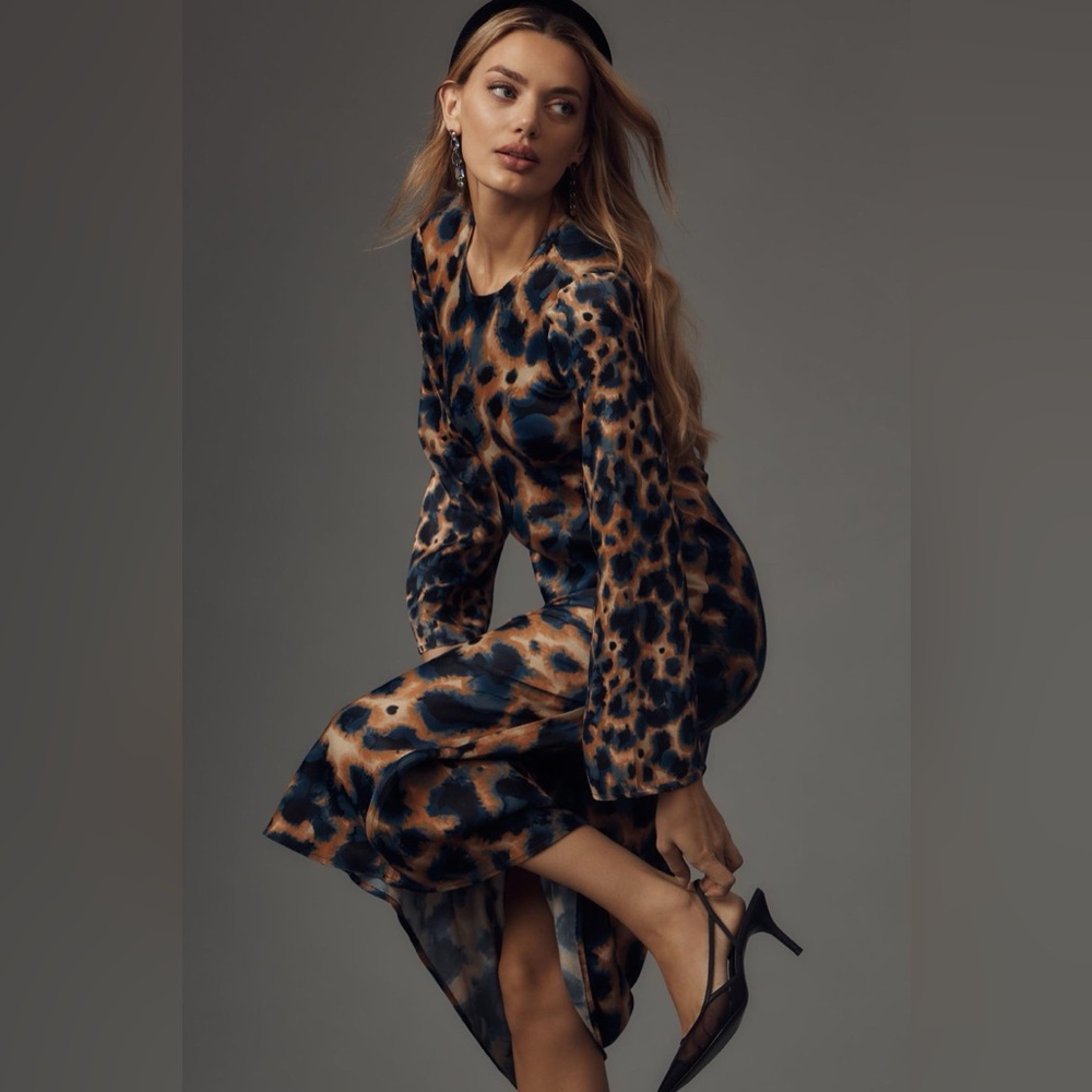 NWT Conditions Apply (Anthropologie) Long-Sleeve Printed Slip Dress